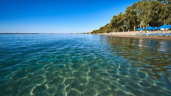 Beach Apartment'S Limasol Dış mekan fotoğraf